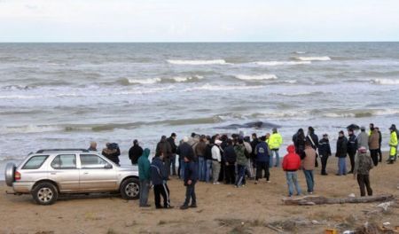 capodogli spiaggiati gargano