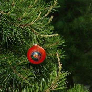 albero natale raccolta