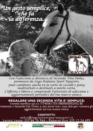 cavallo seconda vita onlus