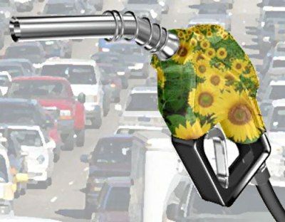 bioodiesel pistola distributore