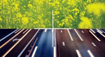Confagricoltura: il futuro è nelle biotecnologie