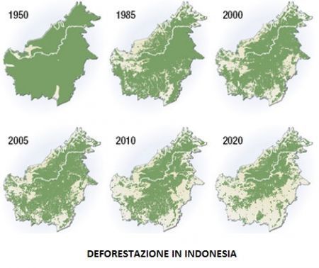 deforestazione indonesia mappa