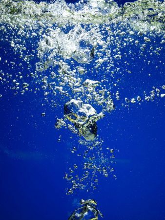 giornata mondiale acqua