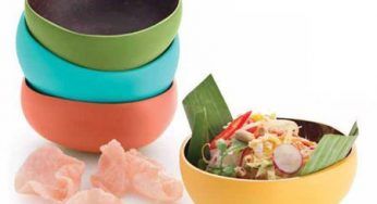 Le ciotole ricavate dalle noci di cocco