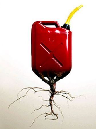 biocarburanti