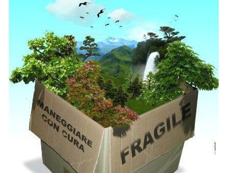 ambiente rifiuti