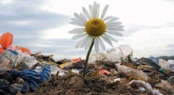 Reati ambientali, 30 al giorno in Italia
