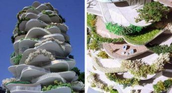 Architettura sostenibile: cactus fiorito enorme a Rotterdam