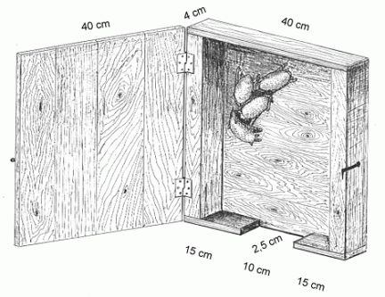 Bat Box, consigli per bricolage
