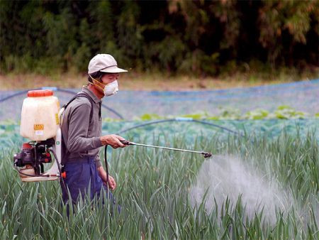 Ecologia, aumenta l'utilizzo dei pesticidi