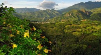 Sviluppo sostenibile: Congresso Nazionale in Ecuador