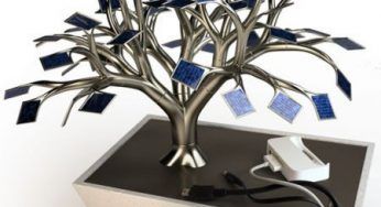 Fotovoltaico portatile con il bonsai Electree