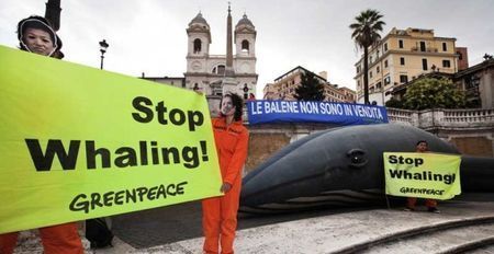 Greenpeace balena Piazza di Spagna