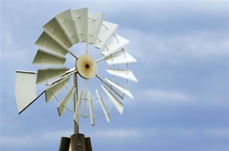 Piano di Azione Nazionale sull'ecologia