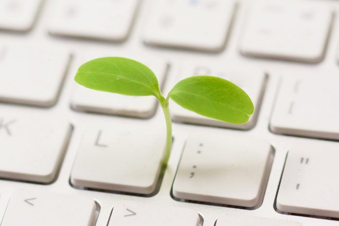 Ufficio green Foglioline su di una tastiera da pc