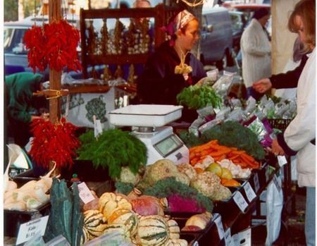 Al Farmers market di Lodi arrivano i pannelli solari