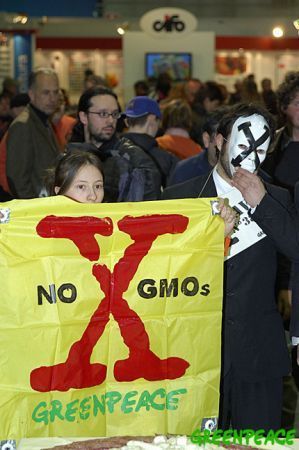 Greenpeace contro gli OGM