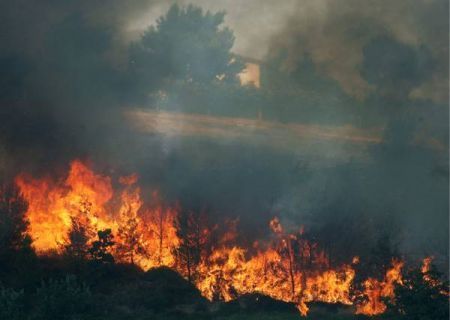 incendio boschivo