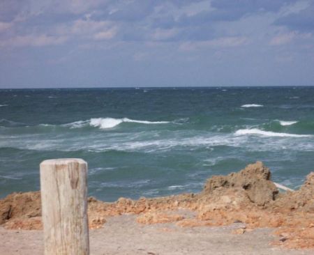 New York, presto un mega parco eolico off shore