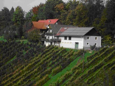 Raffreddare il vino con i pannelli solari