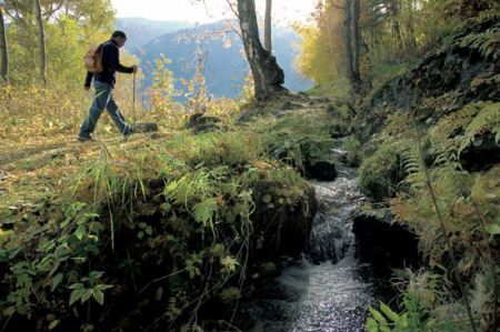 Passeggiate nella natura