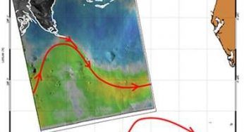 Disastro Louisiana: marea nera blocca corrente nel Golfo