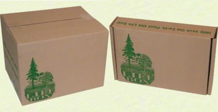 riciclaggio life box alberi