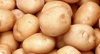 Riciclo: ''Riciclelle'', le prime patate che nascono dai rifiuti