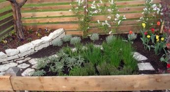 Agricoltura biologica: progetto per coltivare a scuola