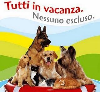 Animali: cani e gatti in vacanza sono 800mila - Ecoo.it