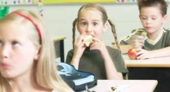 Biodiversità: le nuove linee guida per le mense scolastiche