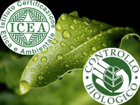 Certificazione biologica
