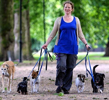 Dog sitter a passeggio.