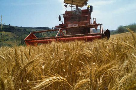 emissioni calcolatore agricoltura