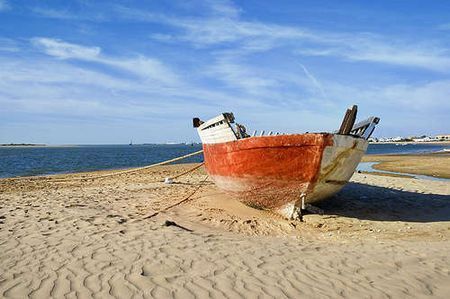 inquinamento mare rapporto wwf