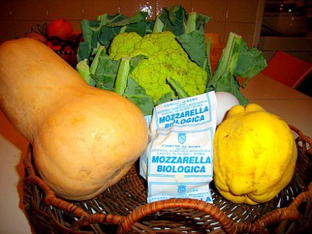 Mozzarella biologica