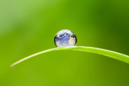 vivere green delle star