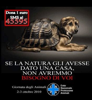 ENPA-giornata-animali ENPA giornata animali