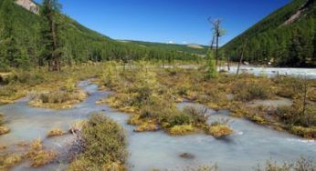 Biocarburanti, nuovo impianto russo in Siberia
