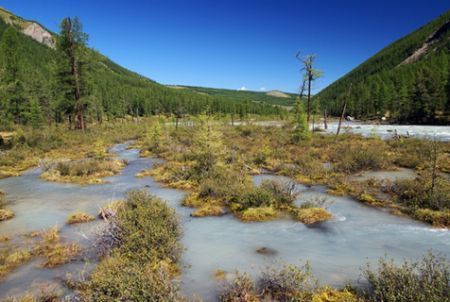 Biocarburanti, nuovo impianto russo in Siberia