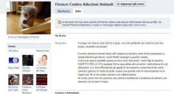 Animali: gruppo Facebook per gli amanti dei quattro zampe