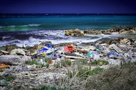 inquinamento mare unione europea parametri ecologici