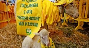 Pastori italiani in rivolta a Roma, la protesta continua