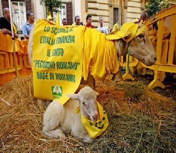 Pastori in rivolta a Roma.