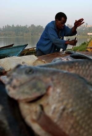 Pesca in Africa.