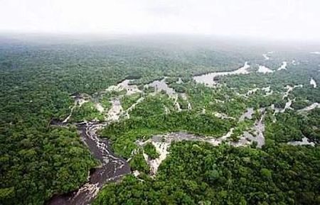ambiente-deforestazione-sumatra ambiente deforestazione sumatra