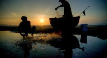 Biomasse: in Vietnam nuovo impianto da 40 MW