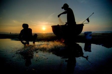 biomasse-nuovo-impianto-vietnam
