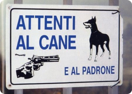 cani-senza-guinzaglio cani senza guinzaglio