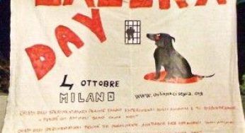 Galera Day: giornata contro i maltrattamenti sugli animali